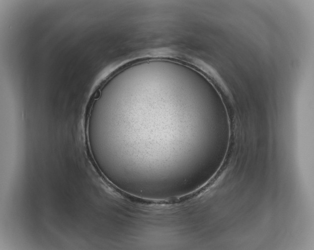 X0000111041176200907021552