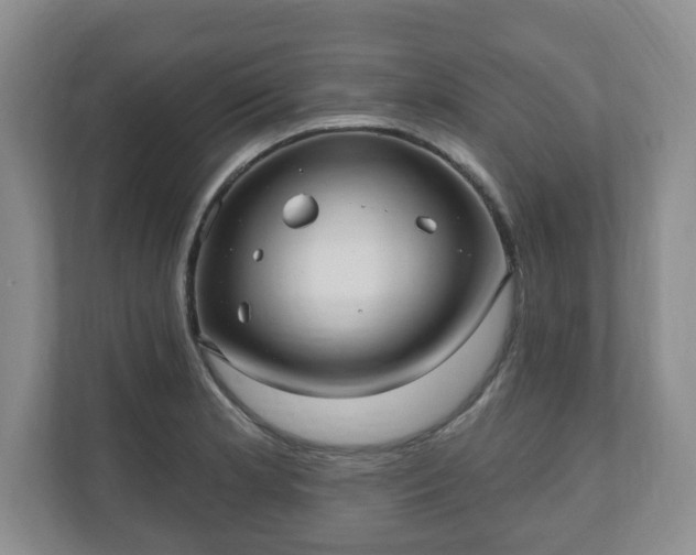 X0000111041181200907021552