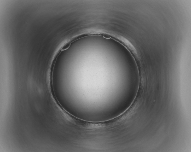 X0000111041183200907021552