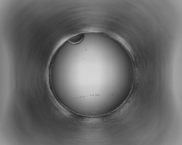 X0000111041187200907021552
