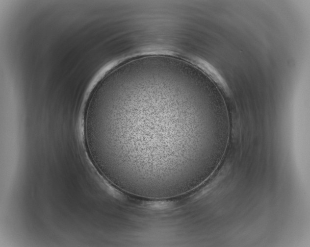 X0000111041188200907021552