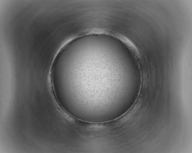 X0000111041190200907021552