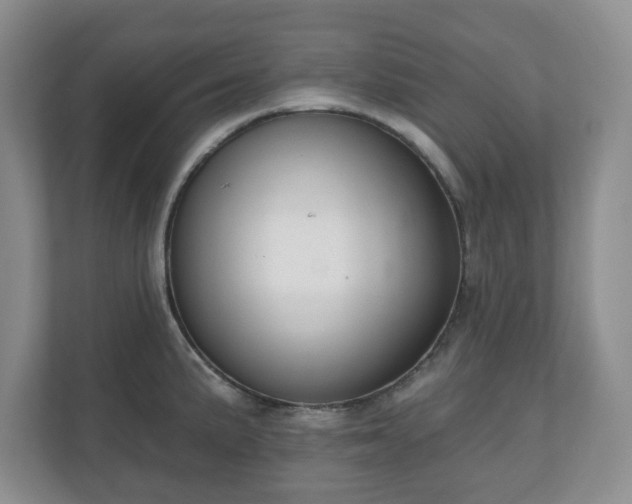 X0000111041191200907021552