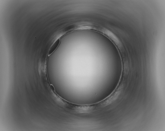 X0000111041193200907021552