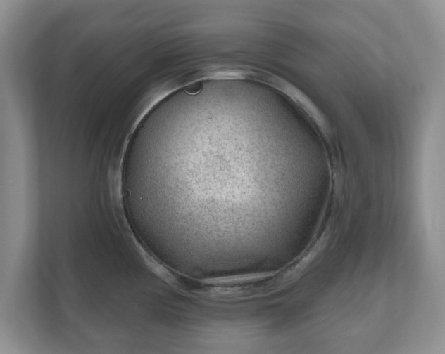 X0000111041194200907021552