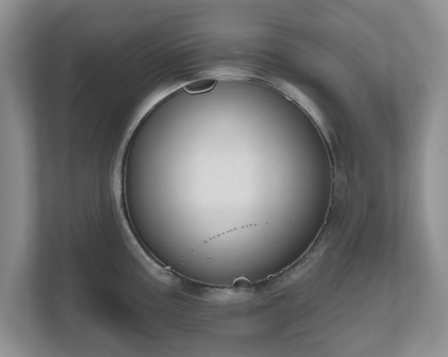 X0000111041195200907021552