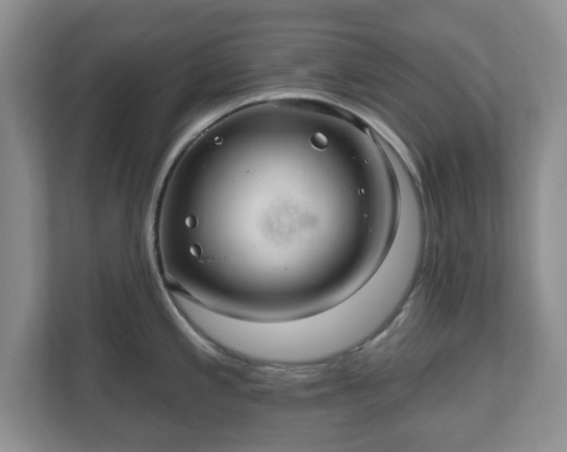 X0000111041197200907021552