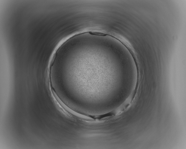X0000111041200200907021552