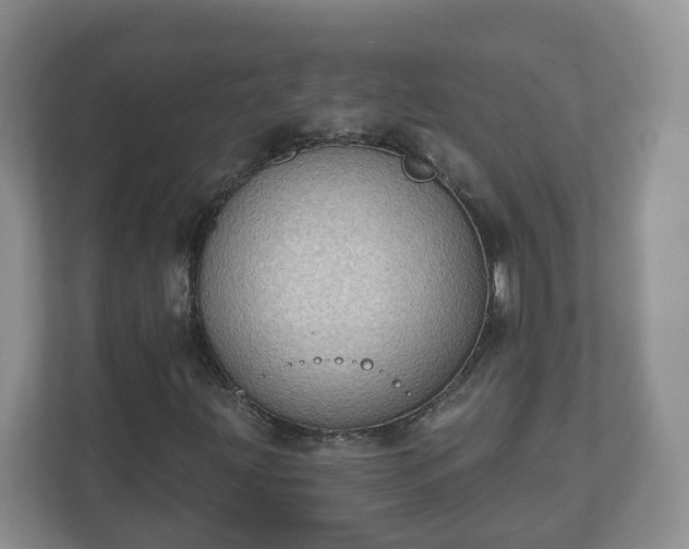 X0000111041203200907021551