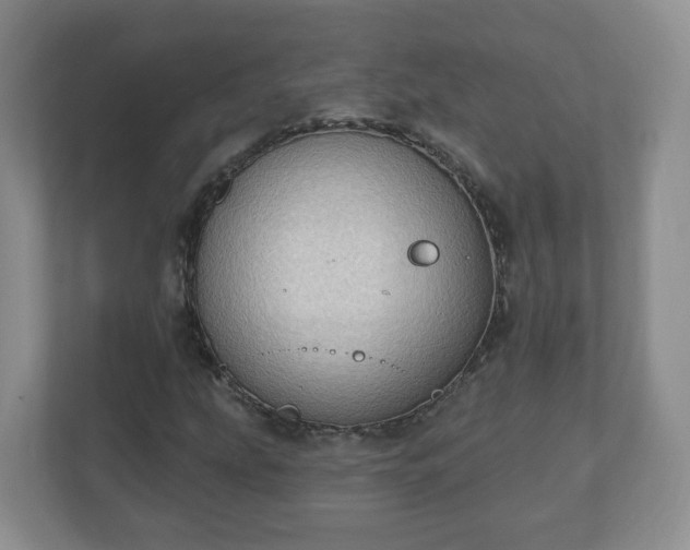 X0000111041207200907021551