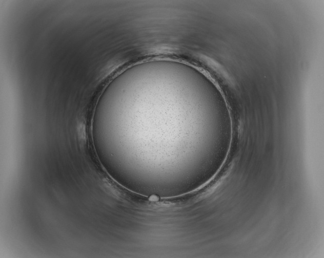 X0000111041209200907021551