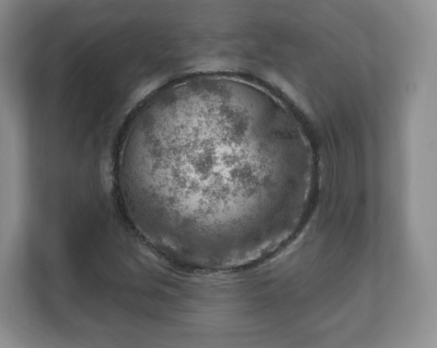 X0000111041213200907021551
