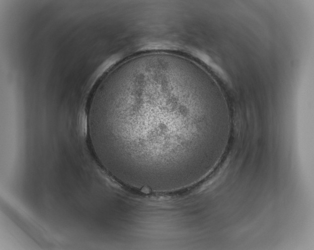 X0000111041221200907021551