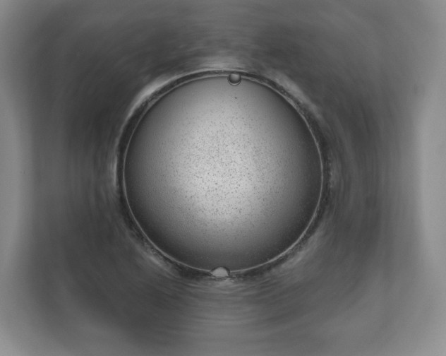 X0000111041222200907021551