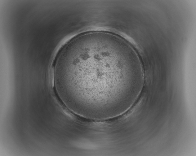 X0000111041223200907021551