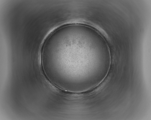 X0000111041224200907021551