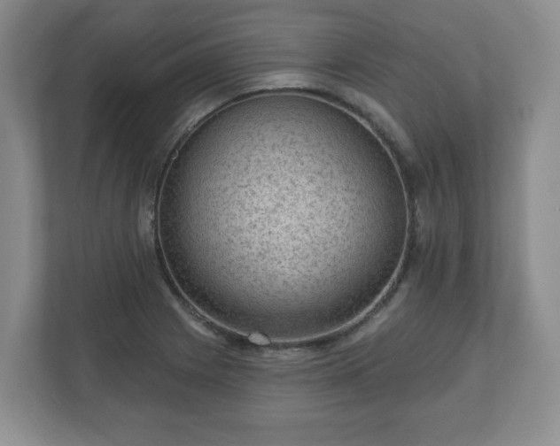 X0000111041225200907021552