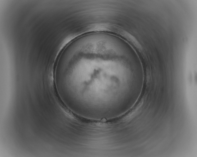 X0000111041226200907021552