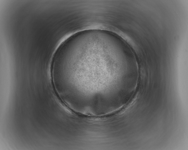 X0000111041230200907021552
