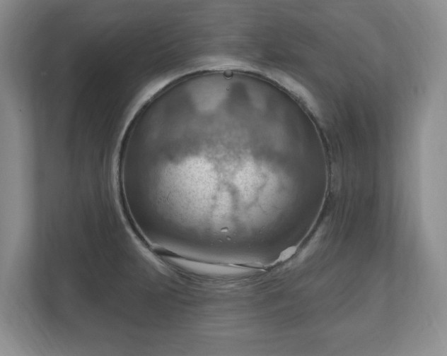 X0000111041231200907021552