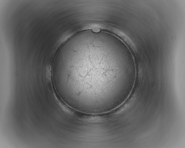 X0000111041233200907021552