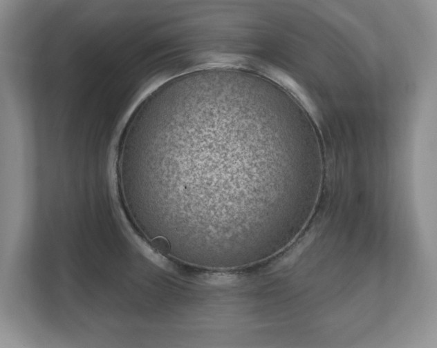 X0000111041235200907021552