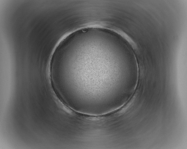 X0000111041240200907021552