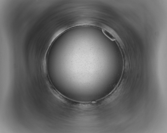 X0000111041242200907021552