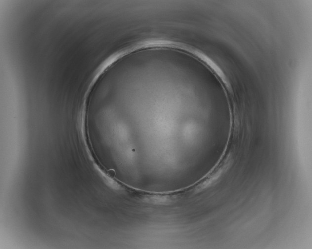 X0000111041245200907021552