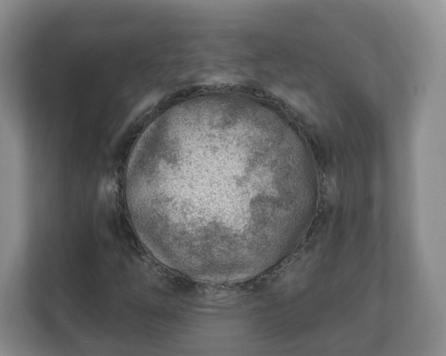 X0000111041254200907021551
