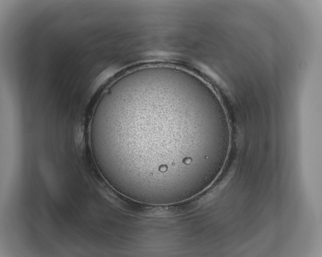 X0000111041259200907021551