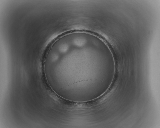 X0000111041263200907021551