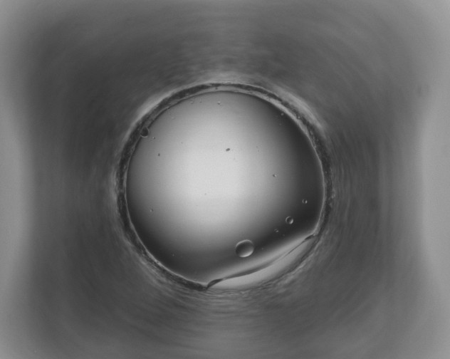 X0000111041264200907021551