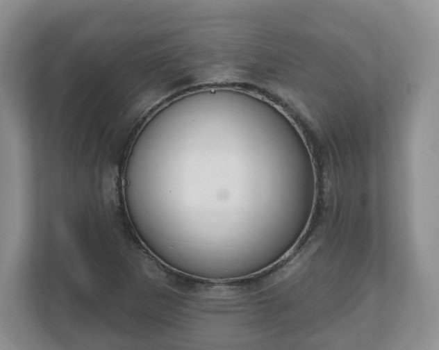 X0000111041265200907021551