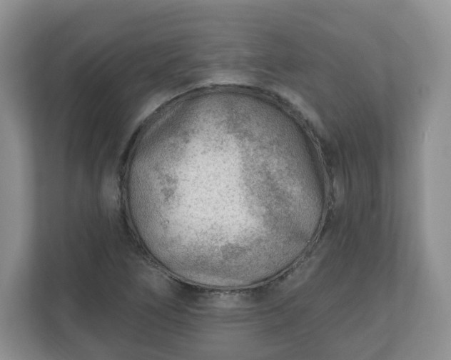 X0000111041266200907021551