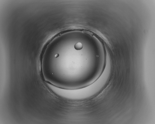 X0000111041269200907021551