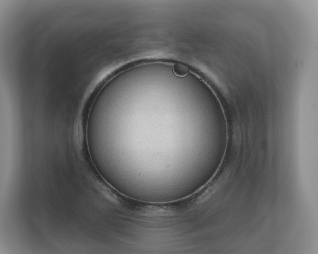 X0000111041270200907021551