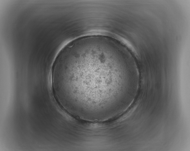 X0000111041275200907021551