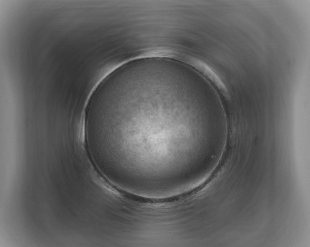 X0000111041276200907021551