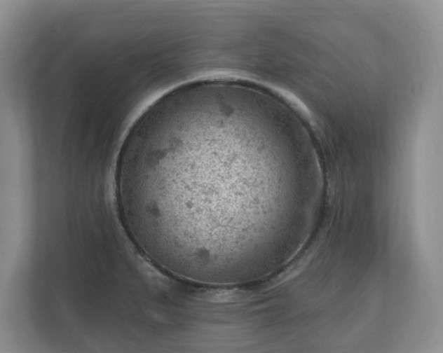 X0000111041279200907021551