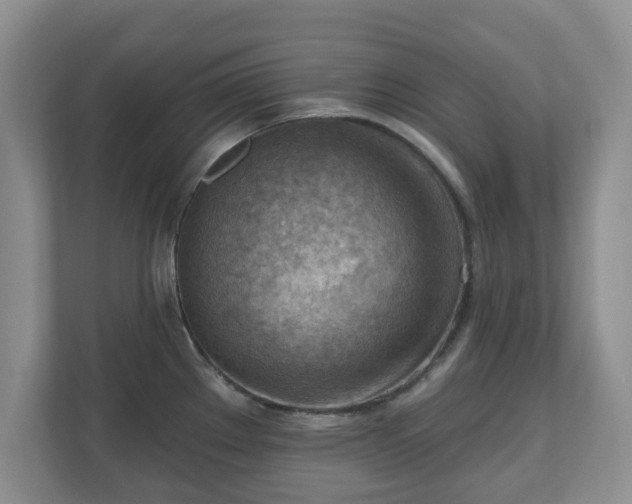 X0000111041289200907021551