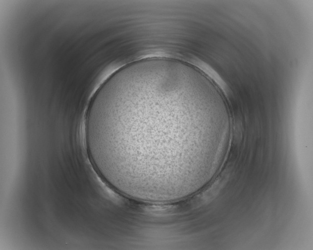 X0000111041290200907021551