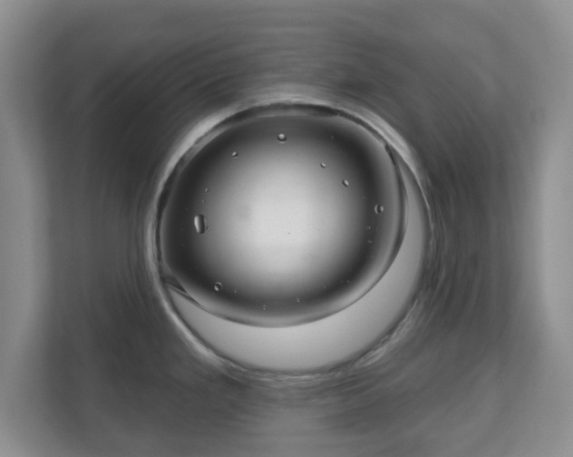 X0000111041293200907021551