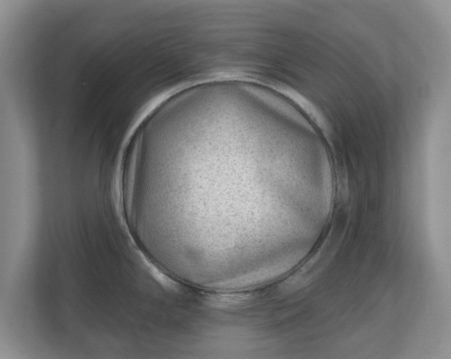 X0000111041294200907021551