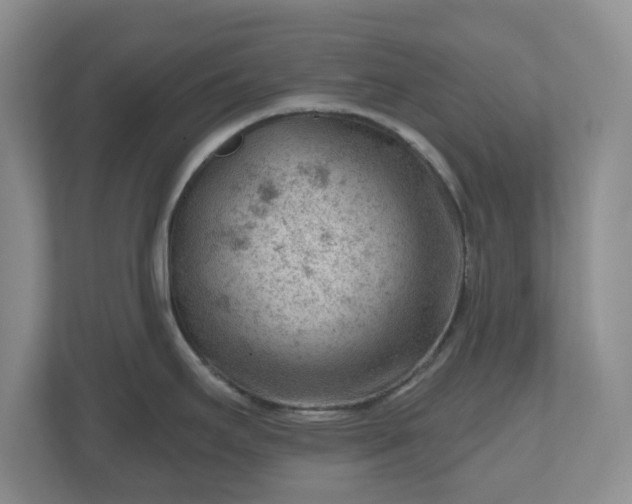 X0000111041295200907021551