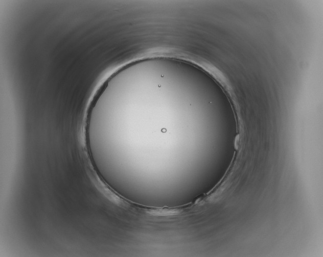 X0000111041296200907021551