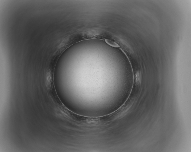X0000111041299200907021550