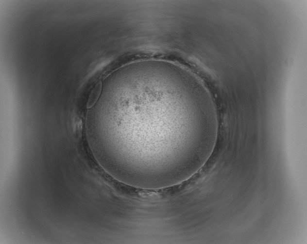 X0000111041302200907021550