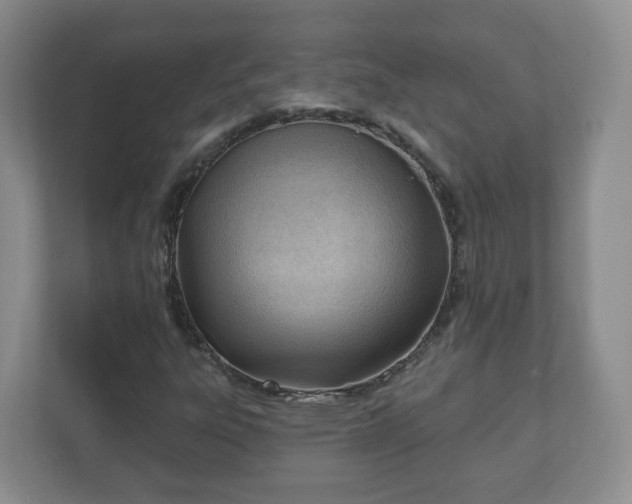X0000111041303200907021550