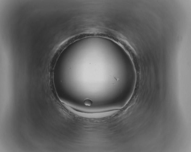 X0000111041304200907021550
